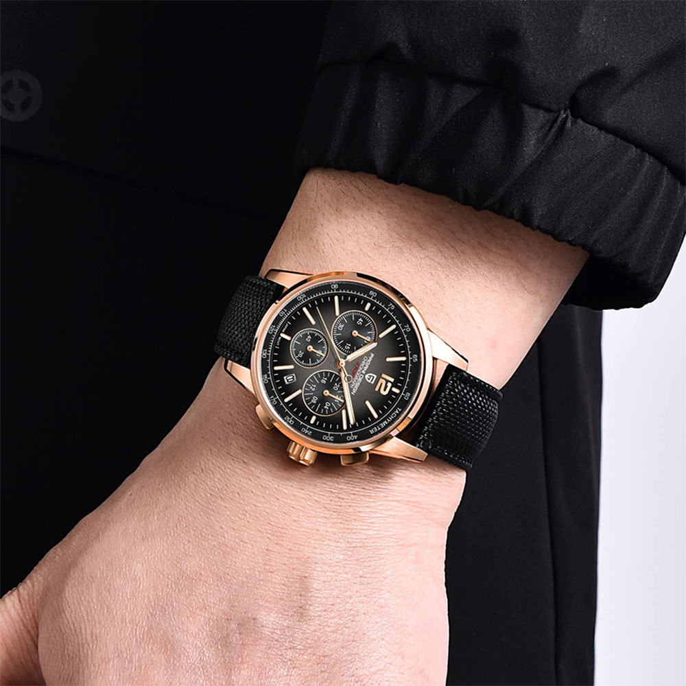 PAGANI DESIGN New Mens Watch 4 - огляд і ціна Luxury Watch Men